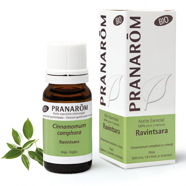 PRANAROM RAVINTSARA ESSENTIAL OIL ORGANIC 10 ML