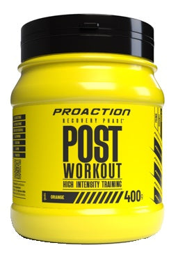 PROACTION FIT POST WORKOUT 400 G