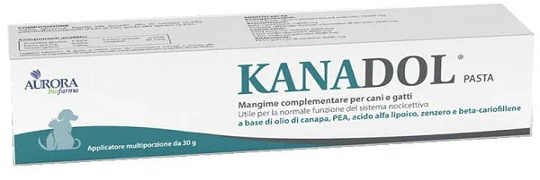 KANADOL PASTA 30 G - Farmaspeed