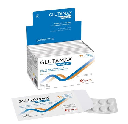 GLUTAMAX ADVANCED 120 COMPRESSE APPETIBILI DA 2 G