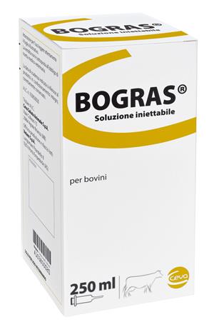 BOGRAS*INIET FL 250ML