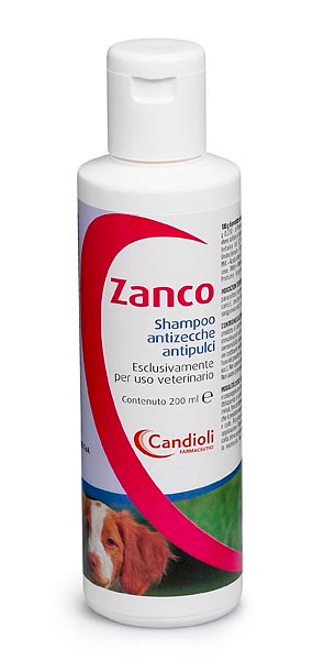 ZANCO*SH FL PE 200ML