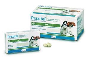PRAZITEL*104CPR