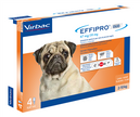 EFFIPRO DUO*4PIP 2-10KG CANI