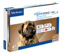EFFIPRO DUO*4PIP 40-60KG CANI