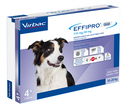 EFFIPRO DUO*4PIP 10-20KG CANI