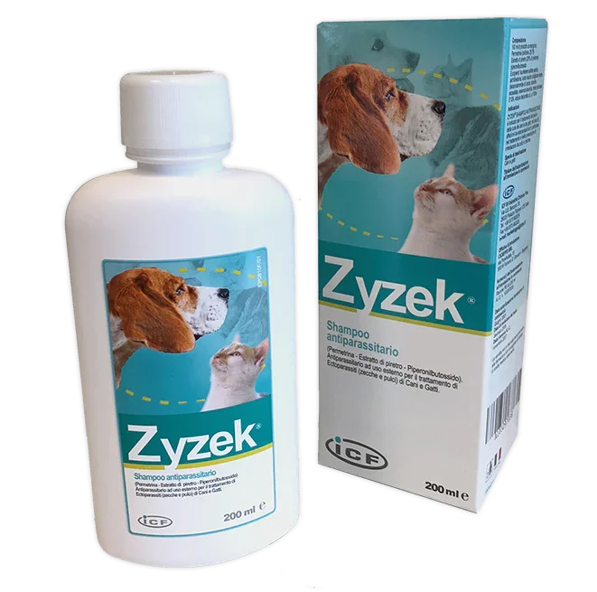 ZYZEK SHAMPOO ANT*FL PE 200ML - Farmaspeed