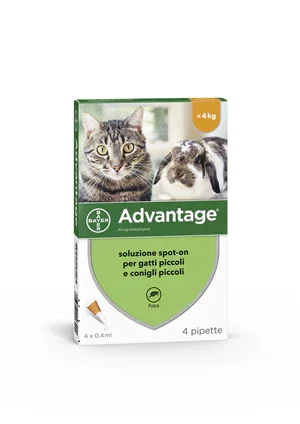 ADVANTAGE*4PIP 0,4ML SPOTON - Farmaspeed