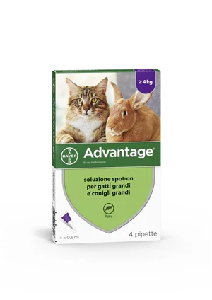 ADVANTAGE*4PIP 0,8ML SPOTON - Farmaspeed