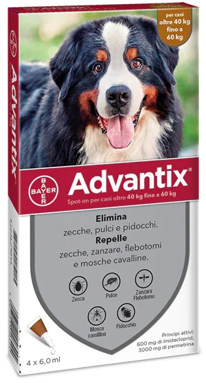 ADVANTIX SPOT ON*4PIP 40-60KG - Farmaspeed