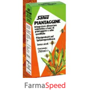 piantaggine 250ml