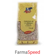 fiocchi 5 cereali bio 500g