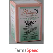 rubigen rhodiola rosea 60opr