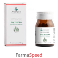 equiseto 60cps 500mg