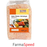 sale himalaya grosso 1000g