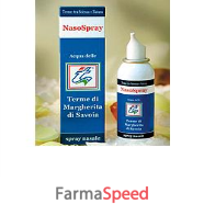 nasospray spray nasale 100ml