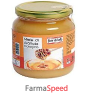 miele di arancio bio 500g