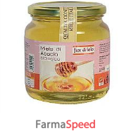 miele di acacia bio 500g