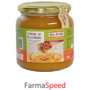 miele di eucalipto bio 500g