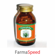 naturincas chancapiedra 90 capsule