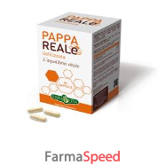 pappa reale 60cps