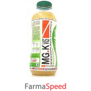 mgk vis drink energy lem 500ml