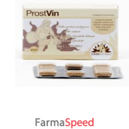 prostvin 60cpr