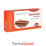 cannella estratto secco 60 compresse