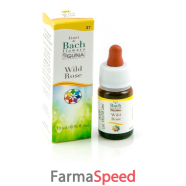 wild rose gun gtt 10ml