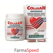 colesan 60 capsule