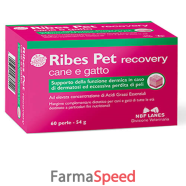ribes pet recovery 60prl