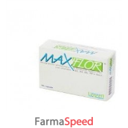 maxiflor 20bust