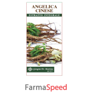 angelica cinese estr inte200ml