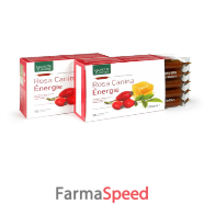 rosa canina energie bio 10amp