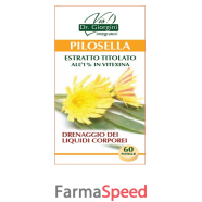 pilosella estratto tit 60past