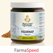 vigormap pasta 600g