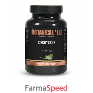 cordyceps botanical mix 60 capsule