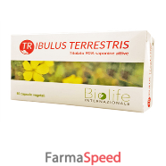 tribulus terrestris 60cpr