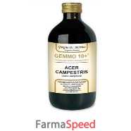 acero camp 500ml analco gem10+