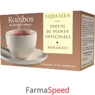 rooibos tea bustine filtro