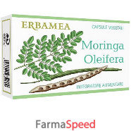 moringa oleifera 24cps