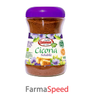 cicoria solubile bio 100g