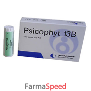 psicophyt remedy 13b 4tub 1,2g