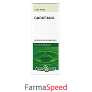 garofano chiodi olio ess 10ml