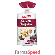 gallette veggie mix 120g