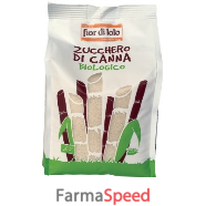 zucchero di canna bio