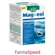 mag esi polvere 200g