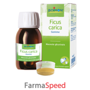 ficus carica mg 60ml int