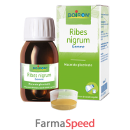 ribes nigrum mg 60ml int