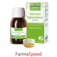 aesculus hip mg 60ml int